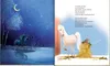 Ronny, das Pony, (Bd. 2) Produktbild-Vorschau 5