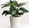 Übertopf Fyre Kunststoff Ø 40 cm H 39 cm weiß inkl. Rollen Produktbild-Vorschau 5