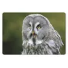 MuchoWow® Schreibtischunterlage Vogel - Eule - Grau 60x40 Produktbild-Vorschau 1