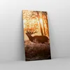 Bild auf Leinwand - Leinwandbild - Deer Heidekraut Tier - Produktbild-Vorschau 4