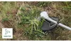 Bosch BrushCut, 2,4 mm, Stal nierdzewna, 4500 RPM, 33 cm, Podgląd zdjęcia produktu 7
