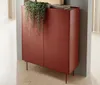 A red cabinet with a hanging plant on top, placed in a room with wooden floors and gray walls. Produktbild-Vorschau