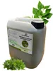 GreenPanda Brennnessel Jauche 5 Liter - Brennnessel Sud -  Produktbild-Vorschau 1