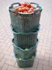5x Erntekörbe Kartoffelkorb Gartenkorb lebensmittelecht, Produktbild-Vorschau 9