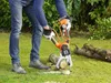 Black & Decker GKC1000LB Alligator Akku Astsäge solo ohne Produktbild-Vorschau 10