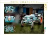 Calvendo Oldtimer Traktor Eicher 1000 Teile Puzzle quer Produktbild-Vorschau 1