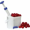 Odkôstkovač čerešní - BIOWIN Náhľad obrázku produktu 1