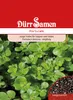 Portulak | Portulaksamen von Dürr Samen Produktbild-Vorschau 1