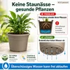 Pflanztopf Fiona Taupe Ø 18cm - Frostsicher & UV-Beständig Produktbild-Vorschau 5