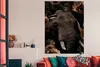 MuchoWow® Poster Elefant - Pflanzen - Blumen 120x180 cm - Produktbild-Vorschau 3