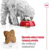 ROYAL CANIN Mini Adult 4kg Podgląd zdjęcia produktu 7