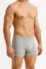 2x pantaloni boxer da uomo; grigio/L Anteprima dell’immagine prodotto 2