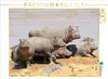 CALVENDO Puzzle Ein Motiv aus dem Kalender Faszination Produktbild-Vorschau 2