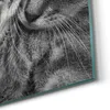 DEQORI Hybrid Leinwand Bild 50x50 cm 'Sanfte Träume' Produktbild-Vorschau 5