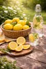 Citronnier Meyer 70–100 cm – Citrus limon Meyer avec fleurs Voir les images du produit 3