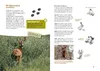 Das Jagdbuch für Kids Produktbild-Vorschau 4