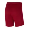 Nike Hosen Dry Park Iii, BV6855677, Größe: 188 Produktbild-Vorschau 6