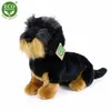 Peluche Bassotto a Pelo Duro 30 Cm Ecologico Anteprima dell’immagine prodotto 3