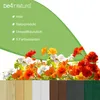 A marketing image showing a roll border product with text highlighting its features and a display of different color options. Produktbild-Vorschau