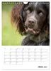 Kalender 2027 · Britische Version · Geboren zur Jagd: Der Produktbild-Vorschau 9