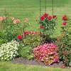 Relaxdays Rankhilfe 2er Set, Metall & Kunststoff, 120 cm Produktbild-Vorschau 5