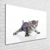 Tulup® Glas-Bild - 100 x 70 - Wandbild aus Glas - Wandkunst Produktbild-Vorschau 2