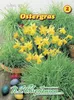 Ostergras | Kleintiersaaten von N.L. Chrestensen Produktbild-Vorschau 3