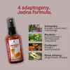 Adaptogenny Spray Energia | Cordyceps, Żeń-szeń, Różeniec Podgląd zdjęcia produktu 4