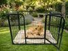 Welpenauslauf Puppy Größe L Welpenlaufstall Freigehege Produktbild-Vorschau 1