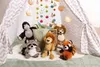 Niť 48392 Plyšový Maskot Gorila 25Cm Náhľad obrázku produktu 4