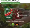 Stabtomaten Harzfeuer F1 Samen - Solanum lycopersicum - Produktbild-Vorschau 8