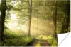 MuchoWow® Poster Wald - Sonne - Bäume 30x20 cm - Plakate - Produktbild-Vorschau 1
