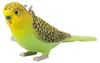 Mojo Farm Pets Prívesok na kľúče Budgerigar Green - 387460 Náhľad obrázku produktu 1