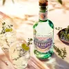 Villa Ascenti Gin Italienischer Gin Piemont | 41 % vol | Produktbild-Vorschau 8