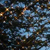 Twinkling lights are strung on tree branches against a dark blue sky. Produktbild-Vorschau