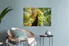 MuchoWow® Wandtattoo Wandsticker Wandaufkleber Baum - Natur Produktbild-Vorschau 6