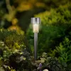A solar-powered garden light is illuminated amongst lush greenery and ivy. Produktbild-Vorschau