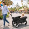 BigDean Bollerwagen faltbar bis 80 kg – kompakter Produktbild-Vorschau 4
