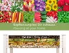 A collage of various plants and vegetables above a diagram of a raised garden bed with different soil layers. Voir les images du produit