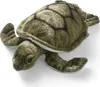 A plush toy turtle on a white background. Podgląd zdjęcia produktu