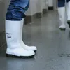 Dunlop Agroalimentäre Stiefel S4 PVC Work It Weiß Gr.40 - Produktbild-Vorschau 6