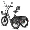 E Trike mit Unterstützung, 180 kg Zuladung, 100 km Produktbild-Vorschau 3