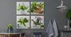Leinwandbilder Set Aufhängefertig 4 Bilder KRÄUTER Blumen Produktbild-Vorschau 5
