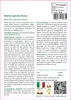 SAFLAX  - Menta spicata Nana - 500 semi - Con substrato - Anteprima dell’immagine prodotto 3