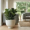Vyveo - Vaso da fiori Oro - Nero - 28x22 Anteprima dell’immagine prodotto 6
