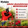 AJIEQAQ 2-in-1: Accu-snoeimes + mini accu-kettingzaag, 21V Productafbeelding-voorbeeld 21