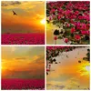 Poster - Poster ohne Rahmen - See Blumen - 40x50 cm - Wand Produktbild-Vorschau 8
