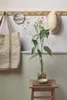 Ariadne Renforcé-Bettwäsche-Garnitur Mix Farbe Natural Produktbild-Vorschau 4