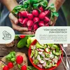 Radieschen Samen (Cherry Bell, 50 Korn) - Radieschen Produktbild-Vorschau 3