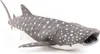 Papo Figurina Bébé Requin Baleine Voir les images du produit 5